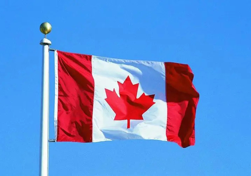 加拿大电子火因合规要求
